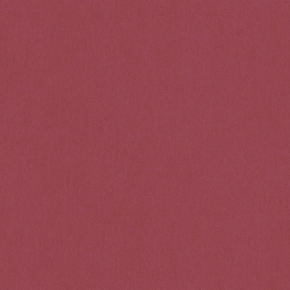 Фото BN International Bont 46886