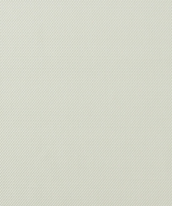 Фото BN International Shadows on the Walls 45583