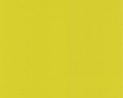 Фото A.S.Creation Colour Courage 805621