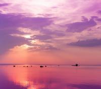 Яркий розовый закат