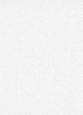 Фото Erismann Robusto Vol.2 3904-01