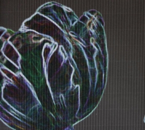 Фото Marburg Ulf Moritz Charisma 78787