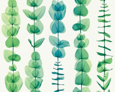 Фото A.S.Creation X-Ray 34246-4