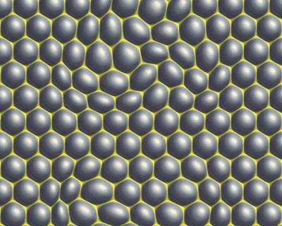 Фото A.S.Creation Mac Stopa 32720-1