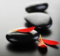 Лепесточки