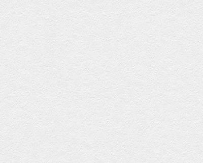 Фото A.S.Creation Maistervlies 2020 31601-1