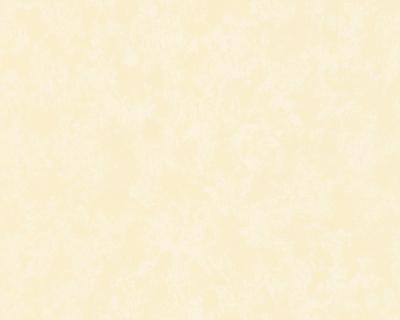 A.S.Creation Colourful 150035