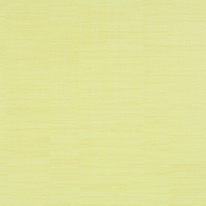 Фото BN International Motion 46644