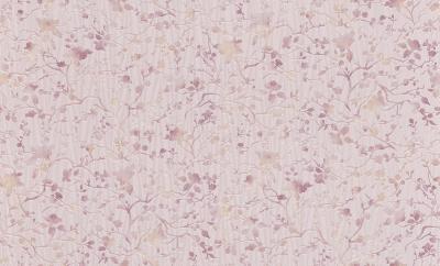 Фото Rasch Maximum XI 926316