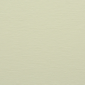 Фото BN International Diva 43741