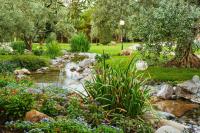 Ручей в саду