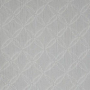 Фото BN International Silhouets 43242