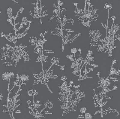 Фото Rasch Freja 897456