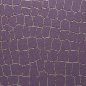 Фото BN International Neo 43832