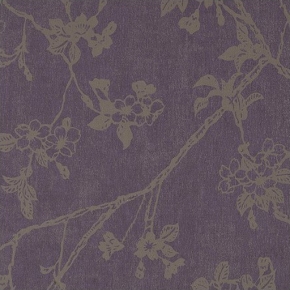 Фото BN International Chacran 46040