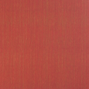 Фото BN International Impulse 48290