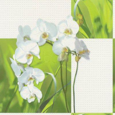 Фото Rasch Tiles & More 825008