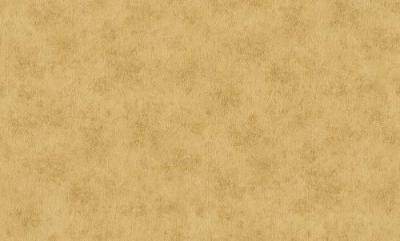 Фото A.S.Creation La Diva 952972