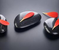 Лепестки на камнях