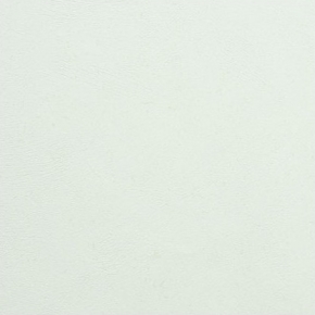 Фото BN International Authentique 45743