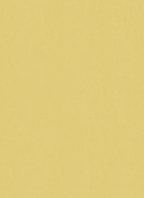 Фото Erismann Isabella 5918-30