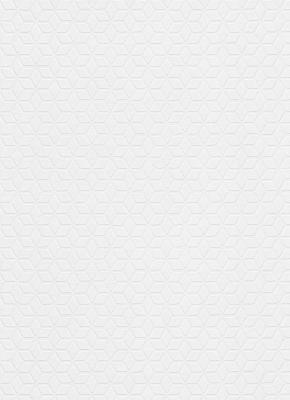 Фото Erismann RollOver 5335-01 (5335-10)