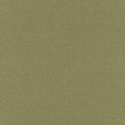 Фото Rasch Black Forest 2016 514131