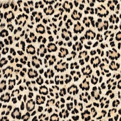 Фото Erismann Sambesi 5901-27