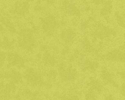 Фото A.S.Creation Caroline 840875