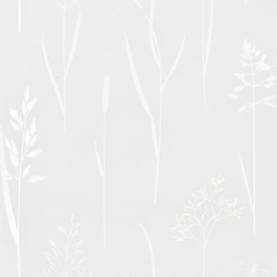 Фото Sandudd June 1765