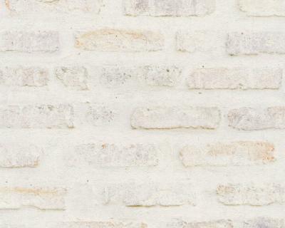 Фото A.S.Creation New Walls 2022 37422-1