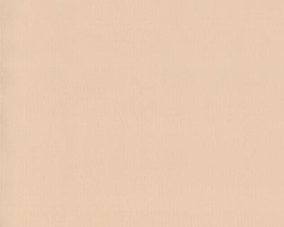 Фото A.S.Creation Duetto 850027