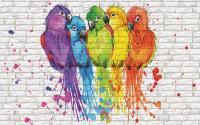 Пять попугаев