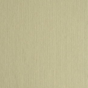 Фото BN International Organza 45210