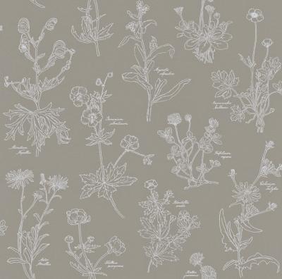 Фото Rasch Freja 897449