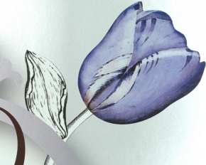 Фото Marburg Ulf Moritz Charisma 78783