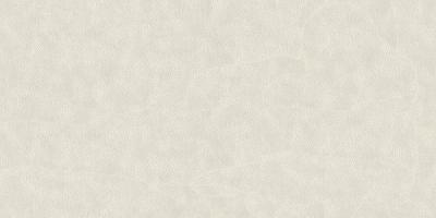 Фото A.S.Creation Speranza 956443