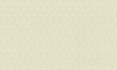 Фото Rasch Maximum XI 926026