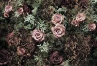 Komar 8-980 (Velvet)