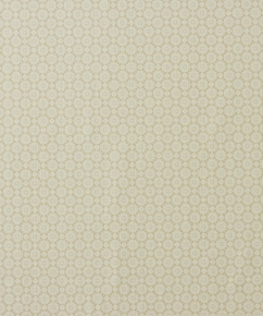 Фото BN International Shadows on the Walls 45543