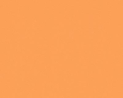 Фото A.S.Creation Meistervlies 5 3095-87