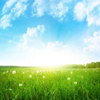 Облака над полем