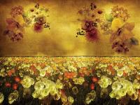 Поле с маками