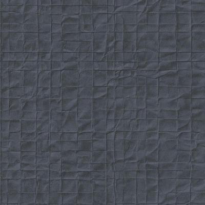 Фото Rasch Passepartout 605563