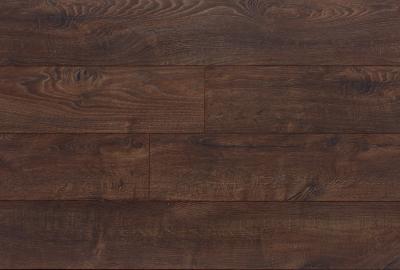 Фото My Step Terra MS168 Дуб Бергамо