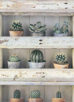 Фото Erismann Prime Time Vol.2 7373-07