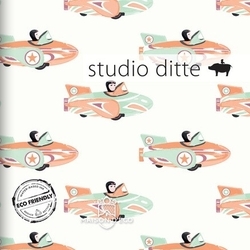 Studio Ditte