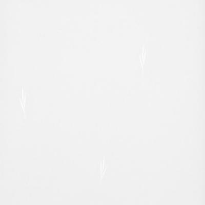 Фото Sandudd June 1770