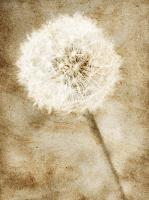 Ретро картина