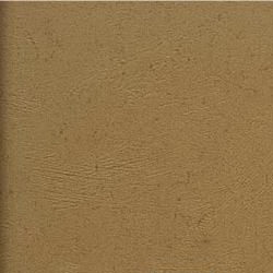 Фото BN International Authentique 45740